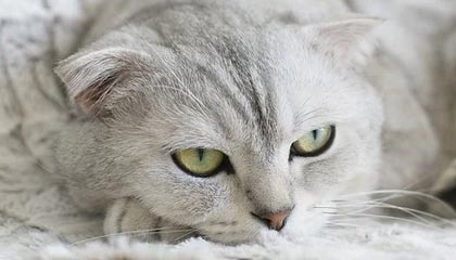 天津最新公积金提取中介联系微信方法分析(最方便真实的天津提取公积金的中介是如何操作的方法)